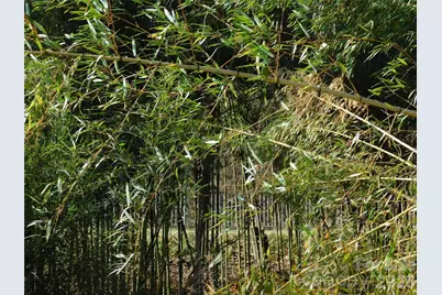 102 Jeff Street, Hendersonville, NC 28739 - Photo 6