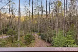 163 Bear Track Ln, Vilas, NC 28692 - Photo 22