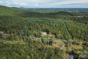 5809 Old Nc 18 None, Connelly Springs, NC 28612 - Photo 46