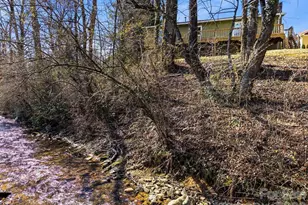 68 Palmer St, Brevard, NC 28712 - Photo 38