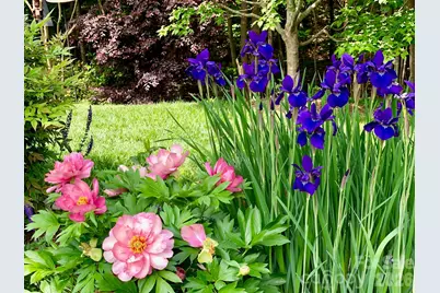 1104 Aringill Lane, Stallings, NC 28104 - Photo 30