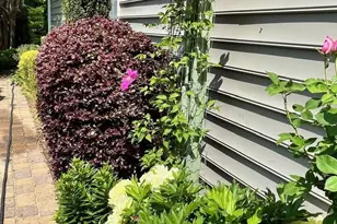 1104 Aringill Ln, Stallings, NC 28104 - Photo 22