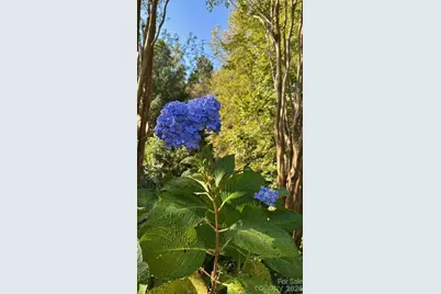 1104 Aringill Lane, Stallings, NC 28104 - Photo 24