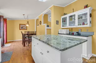 401 Lynn Gap Rd, Spruce Pine, NC 28777 - Photo 8