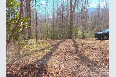 135 Cataloochee Lane, Waynesville, NC 28785 - Photo 36