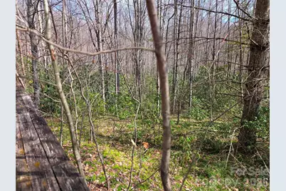 135 Cataloochee Lane, Waynesville, NC 28785 - Photo 42