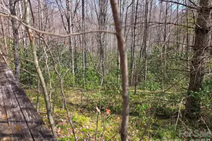 135 Cataloochee Ln, Waynesville, NC 28785 - Photo 42