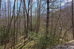 135 Cataloochee Ln, Waynesville, NC 28785 - Photo 38