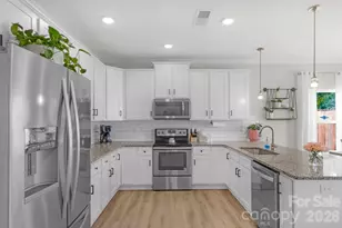 1072 Pecan Ridge Rd, Fort Mill, SC 29715 - Photo 10