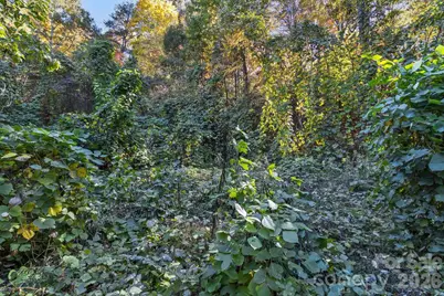 0 Waterside Drive Lot #1B and Lot #1C, Lake Lure, NC 28746 - Photo 14