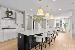 1008 Cabriolet Ct, Waxhaw, NC 28173 - Photo 8