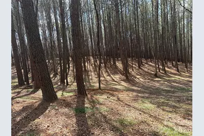 Tbd Makayla Drive, Oakboro, NC 28129 - Photo 10