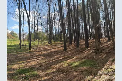 Tbd Makayla Drive, Oakboro, NC 28129 - Photo 4