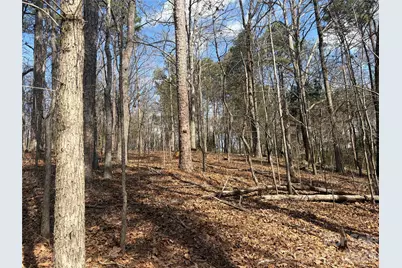 Tbd Makayla Drive, Oakboro, NC 28129 - Photo 6