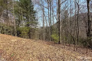 Tbd Wood Stone Dr, Hendersonville, NC 28792 - Photo 1