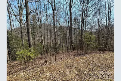 Tbd Wood Stone Drive #14, Hendersonville, NC 28792 - Photo 4