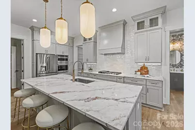 425 Snow Goose Walk None, Clover, SC 29710 - Photo 14