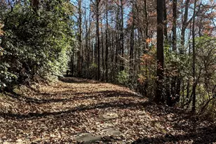 157 Toxaway Vws Dr, Lake Toxaway, NC 28747 - Photo 40