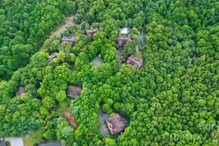 157 Toxaway Vws Dr, Lake Toxaway, NC 28747 - Photo 34