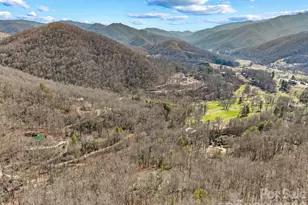 60 Little Creek Dr, Canton, NC 28716 - Photo 46