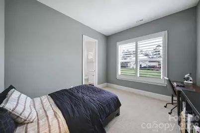 116 Broad Birch Drive, Davidson, NC 28036 - Photo 18