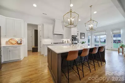 116 Broad Birch Drive, Davidson, NC 28036 - Photo 4