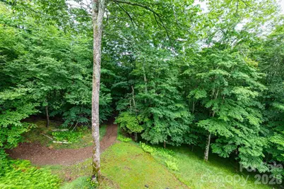 155 Mule Trail Drive, Bakersville, NC 28705 - Photo 32