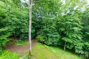 155 Mule Trail Dr, Bakersville, NC 28705 - Photo 28