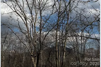 806 & 810 Hutch Mountain Road, Fletcher, NC 28732 - Photo 42