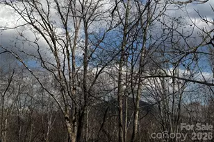 806 & 810 Hutch Mountain Rd, Fletcher, NC 28732 - Photo 42