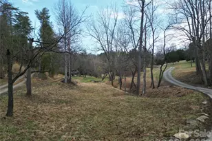 99999 Pug Run, Weaverville, NC 28787 - Photo 1