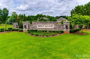 1163 Regions Blvd, Fort Mill, SC 29707 - Photo 42