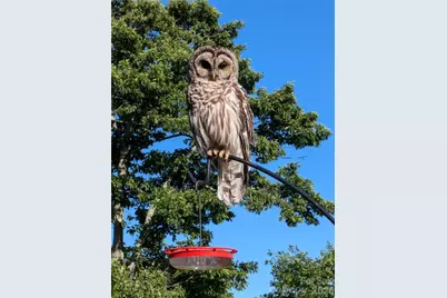 448 Howards Knob Road, Boone, NC 28607 - Photo 14