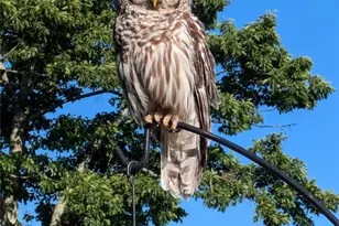 448 Howards Knob Rd, Boone, NC 28607 - Photo 14