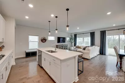 534 Palmarosa Street, Fort Mill, SC 29715 - Photo 8