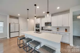 534 Palmarosa St, Fort Mill, SC 29715 - Photo 6