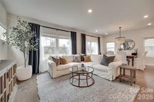 534 Palmarosa St, Fort Mill, SC 29715 - Photo 10