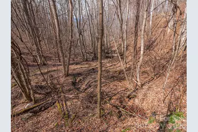 399 Goodson Spring Road, Waynesville, NC 28786 - Photo 8