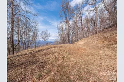 399 Goodson Spring Road, Waynesville, NC 28786 - Photo 2