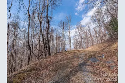 399 Goodson Spring Road, Waynesville, NC 28786 - Photo 10