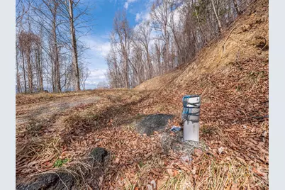 399 Goodson Spring Road, Waynesville, NC 28786 - Photo 6