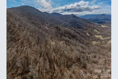 399 Goodson Spring Road, Waynesville, NC 28786 - Photo 16
