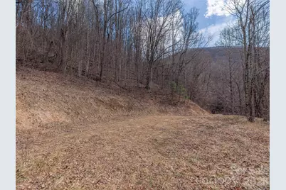 399 Goodson Spring Road, Waynesville, NC 28786 - Photo 12