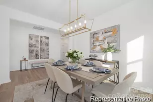 124 Tillery Ln, Mount Gilead, NC 27306 - Photo 4