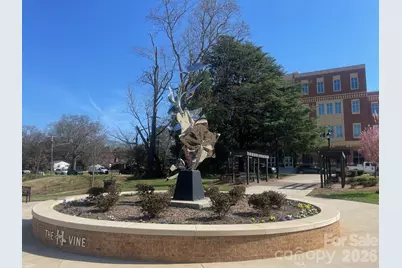 14002 Naworth Lane, Huntersville, NC 28078 - Photo 38