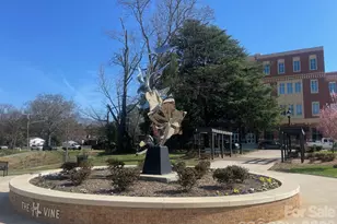 14002 Naworth Ln, Huntersville, NC 28078 - Photo 38