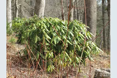 580 N Robinson Creek Road, Glenville, NC 28736 - Photo 6