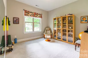 106 Mary Mack Ln, Fort Mill, SC 29715 - Photo 32