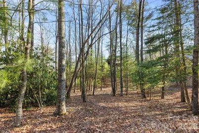 Lot 125 Thunder Mountain Road, Hendersonville, NC 28792 - Photo 4