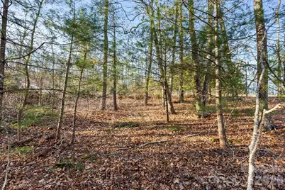 Lot 125 Thunder Mountain Road, Hendersonville, NC 28792 - Photo 6